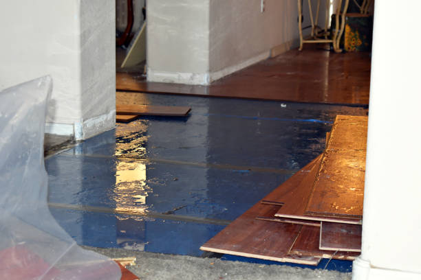 Professional Sewage Cleanup technician working in Ivanhoe, TX